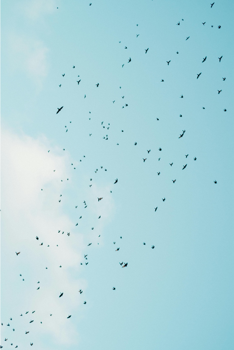 Améliorer la santé mentale : quelles sont les interventions efficaces ?